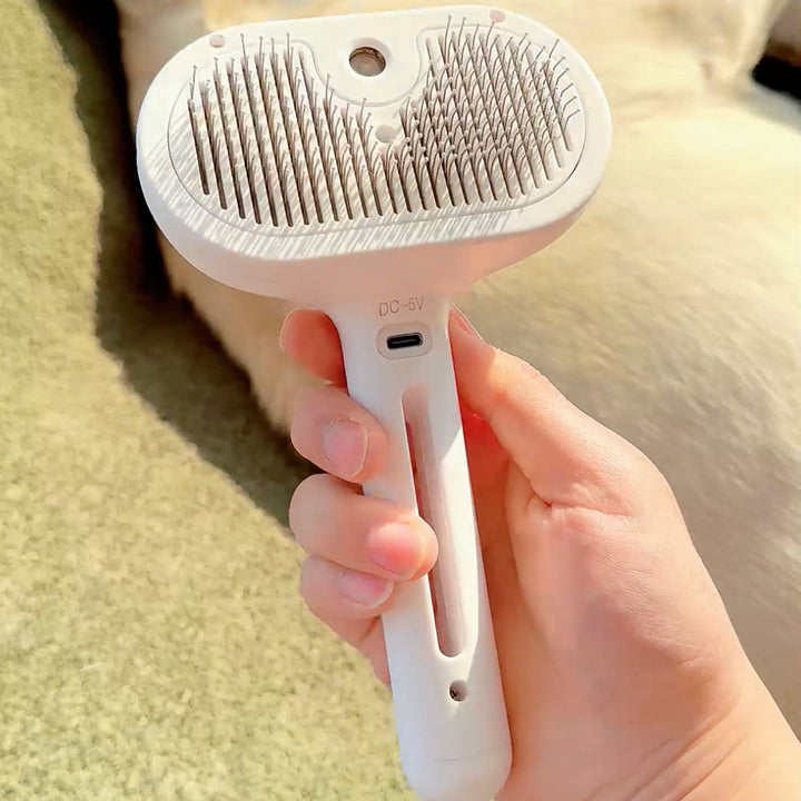 Dogsy - steambrush