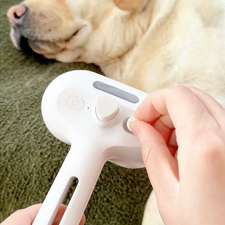 Dogsy - steambrush